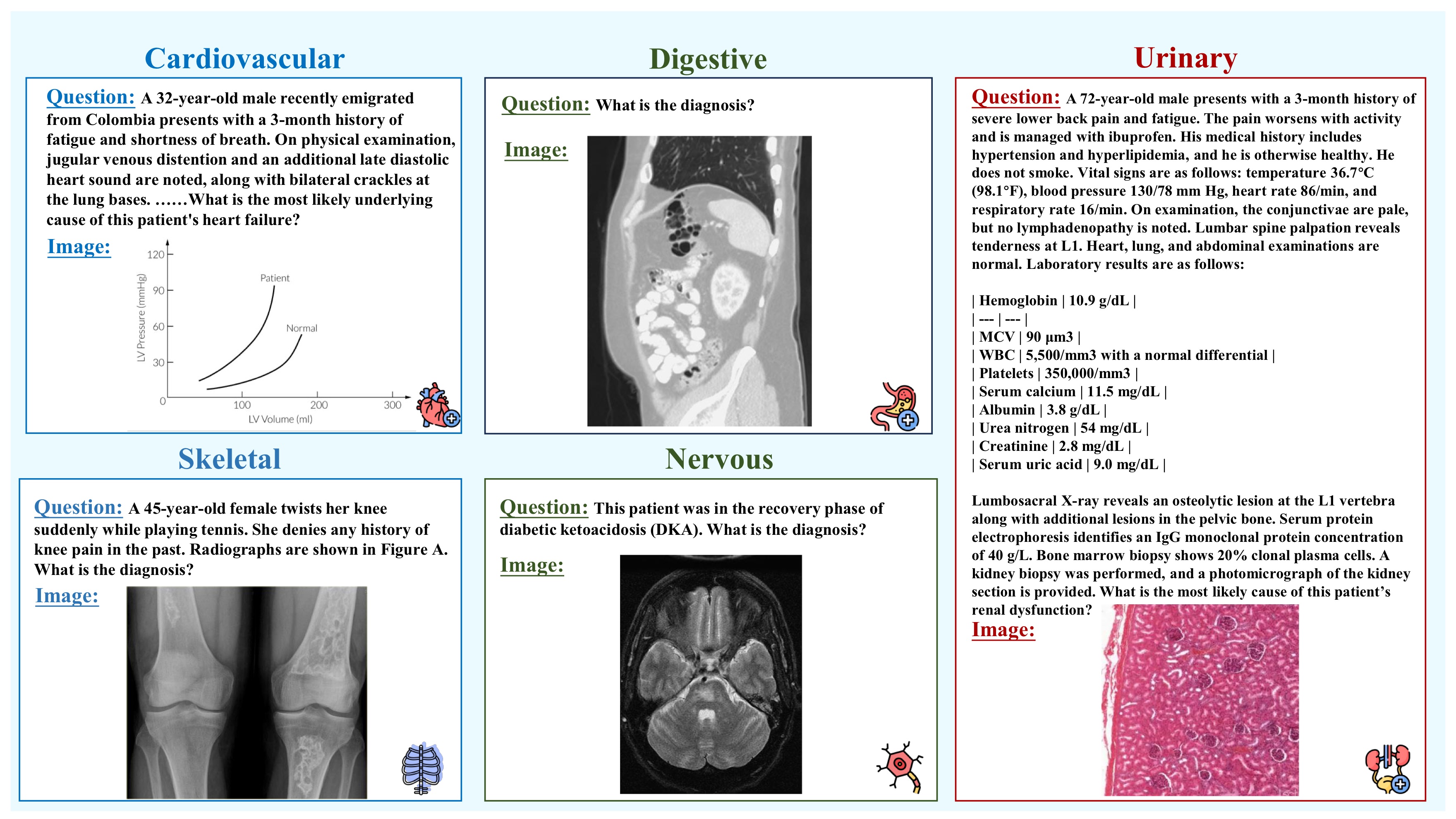 Dataset image 1